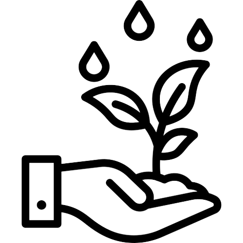 Customer Success Focus